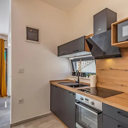 Rougemarin - Marin With Private Pool Medulin